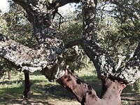 D9C2B877-01E5-41E2-8E80-7867E93064B0