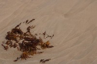 Strandfoto 1