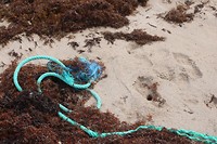 Strandfoto 2