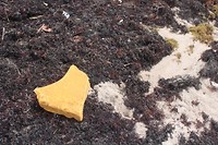 Strandfoto 3