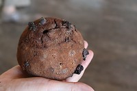 Brazilian Nut