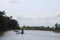 Rivierscene