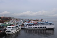 Amazoneboten in de haven