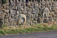 Fossielen in muur