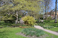 Botanische tuin 3