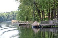 De meest interessante foto
