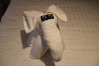Handdoekenkunst