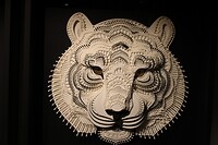 Tijger