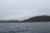 IMG_5295