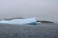 IMG_5298