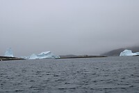 IMG_5299