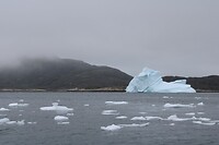 IMG_5301