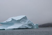IMG_5303