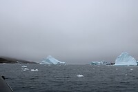 IMG_5306