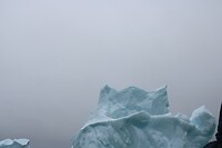 IMG_5309