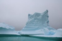 IMG_5311