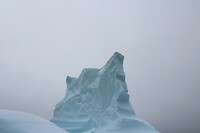 IMG_5313