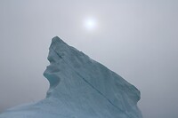 IMG_5315