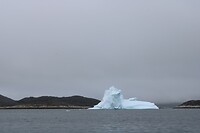 IMG_5316