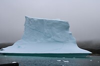 IMG_5317