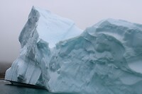 IMG_5318
