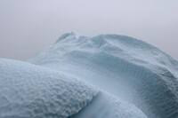 IMG_5321