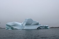 IMG_5323