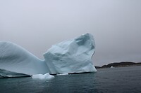 IMG_5325