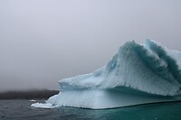 IMG_5327