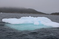IMG_5330