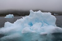 IMG_5334