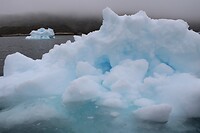 IMG_5335