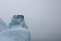 IMG_5338