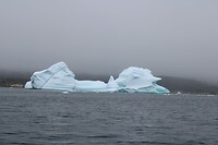 IMG_5339
