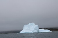 IMG_5344