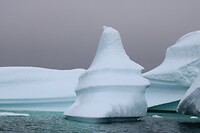 IMG_5345