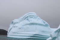 IMG_5346
