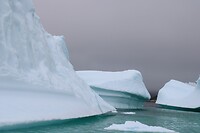 IMG_5347