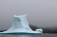 IMG_5349