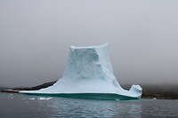 IMG_5350
