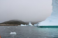 IMG_5351