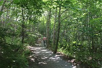 Park