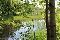 Nog niet 'the lake'