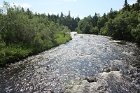 Corner Brook Stream
