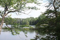 The Lake