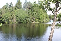 The Lake