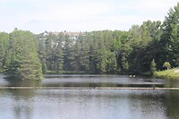 The Lake