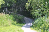 De weg terug