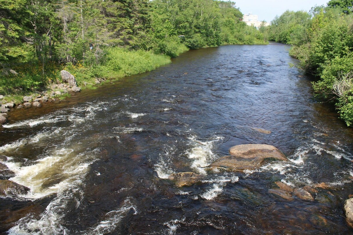 Corner Brook Stream