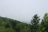 Eerste stop: mist
